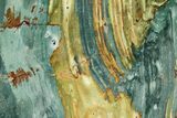 Free-Standing, Gary Green Jasper (Larsonite) Bog Wood - Oregon #334818-1